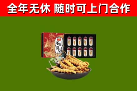 仓山区烟酒回收冬虫夏草礼盒.jpg